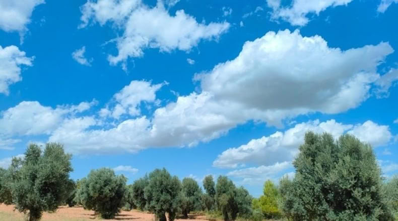 Teruel - Belmonte de San José - 48371m2