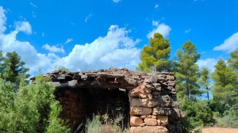 Teruel - Belmonte de San José - 48371m2