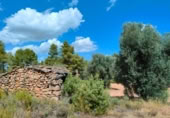 Xalet independent amb terreny en venda a la España, Bellmunt de Mesquí, ref.: TR317209 foto