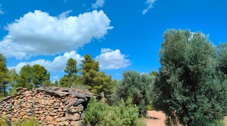 Teruel - Belmonte de San José - 48371m2