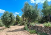 Xalet independent amb terreny en venda a la España, Bellmunt de Mesquí, ref.: TR317209 foto