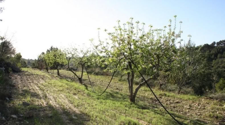 Tarragona - la Fatarella - 4850m2