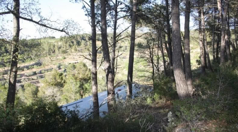 Tarragona - la Fatarella - 4850m2
