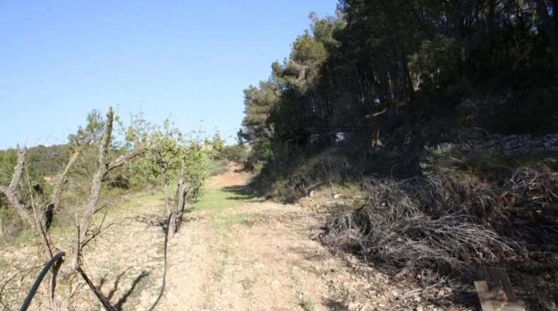 Tarragona - la Fatarella - 4850m2