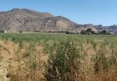 Non-developable land for sale on España, Pinos Puente, ref: TR143107 photo