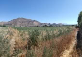 Non-developable land for sale on España, Pinos Puente, ref: TR143107 photo