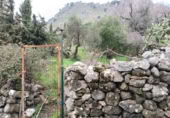 Terreny no urbanitzable en venda a la España, Benaocaz, ref.: TR120876 foto