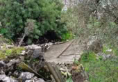 Terreny no urbanitzable en venda a la España, Benaocaz, ref.: TR120876 foto