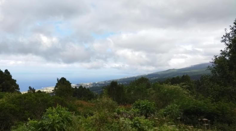 Santa Cruz de Tenerife - Icod de los Vinos - 6143m2