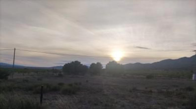 Alicante - Pinoso - 14000m2