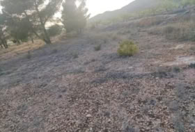 el Pinós 14000&nbsp;m² 
