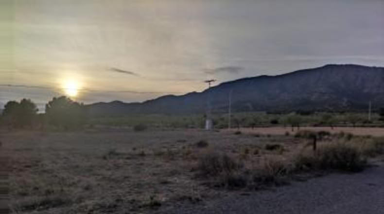 Alicante - Pinoso - 14000m2