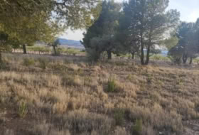el Pinós 14000&nbsp;m² 