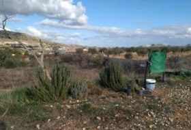 Foto 3
