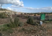 Terreny no urbanitzable en venda a la España, la Romana, ref.: TR122356 foto