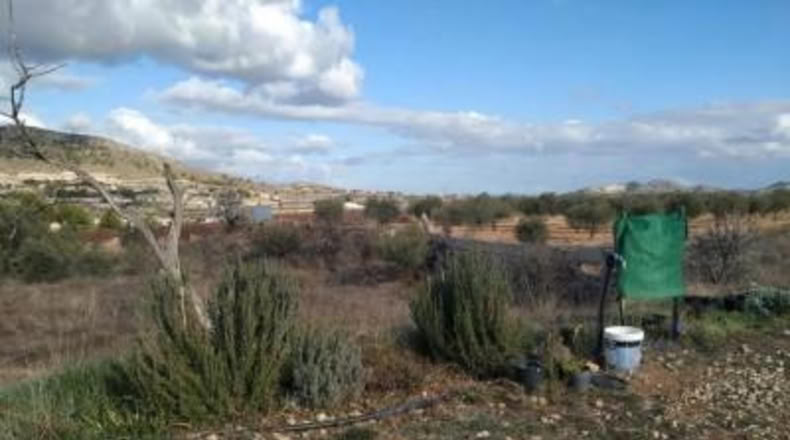 Alicante - la Romana - 2940m2