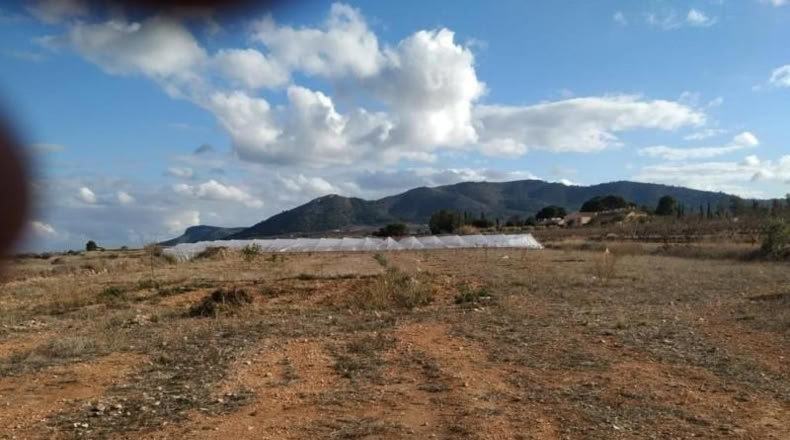 Alicante - la Romana - 2940m2