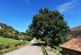 San Miguel de Luena 148&nbsp;m² 