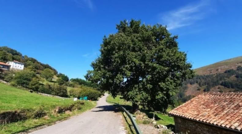 Cantabria - Ла Пуэнте - 148m2