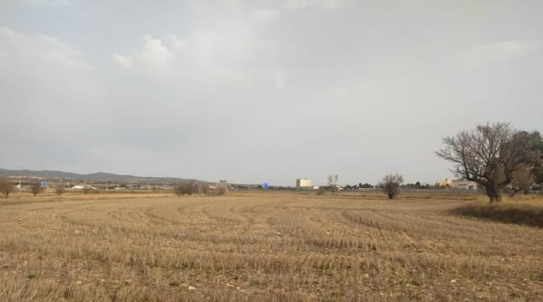 Albacete - Almansa - 38000m2