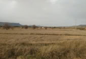 Parcel·la urbanitzable en venda a la España, Almansa, ref.: TR116821 foto