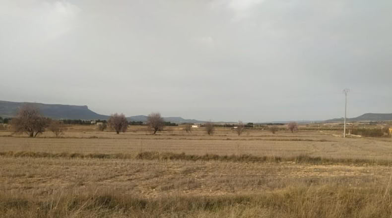 Albacete - Almansa - 38000m2
