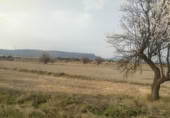 Parcel·la urbanitzable en venda a la España, Almansa, ref.: TR116821 foto