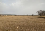 Parcel·la urbanitzable en venda a la España, Almansa, ref.: TR116821 foto