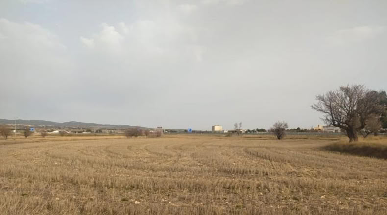 Albacete - Almansa - 38000m2