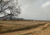 Parcel·la urbanitzable en venda a la España, Almansa, ref.: TR116821 foto