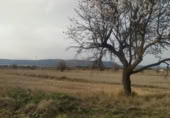 Parcel·la urbanitzable en venda a la España, Almansa, ref.: TR116821 foto