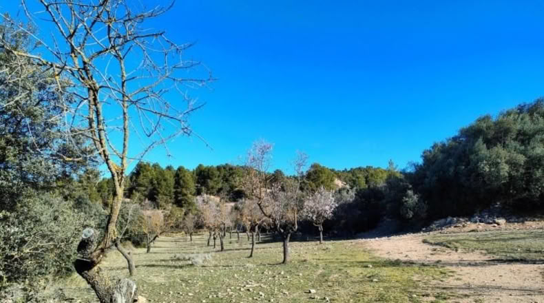 Tarragona - Horta de Sant Joan - 11166m2