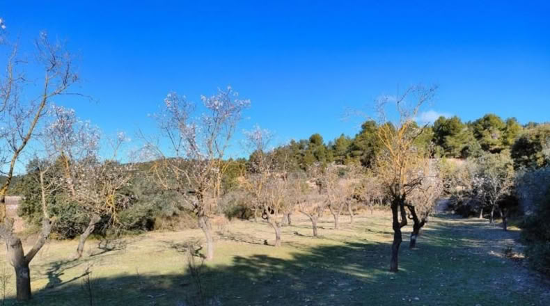 Tarragona - Horta de Sant Joan - 11166m2