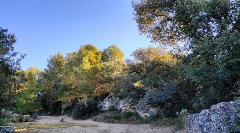 Tarragona - Horta de Sant Joan - 11166m2