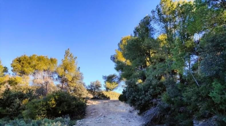 Tarragona - Horta de Sant Joan - 11166m2
