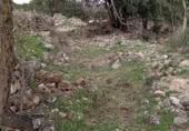 Xalet independent amb terreny en venda a la España, Horta de Sant Joan, ref.: TR293332 foto