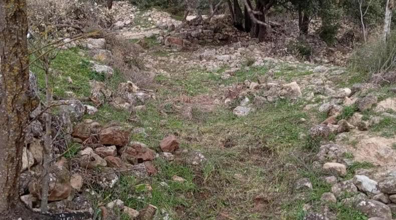 Tarragona - Horta de Sant Joan - 11166m2