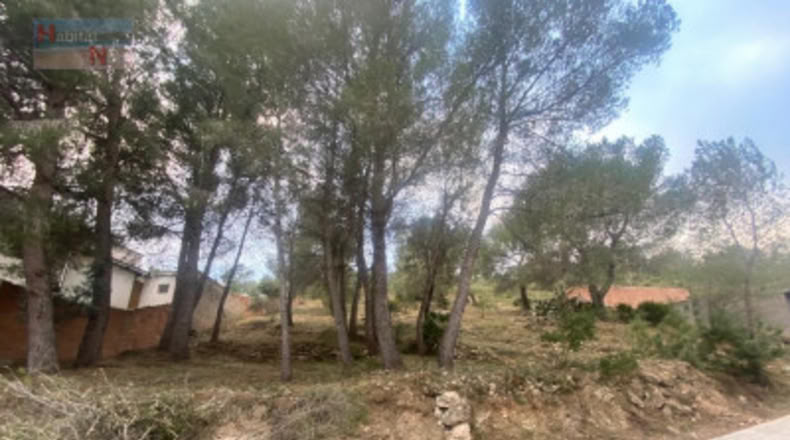 Tarragona - la Bisbal del Penedès - 596m2