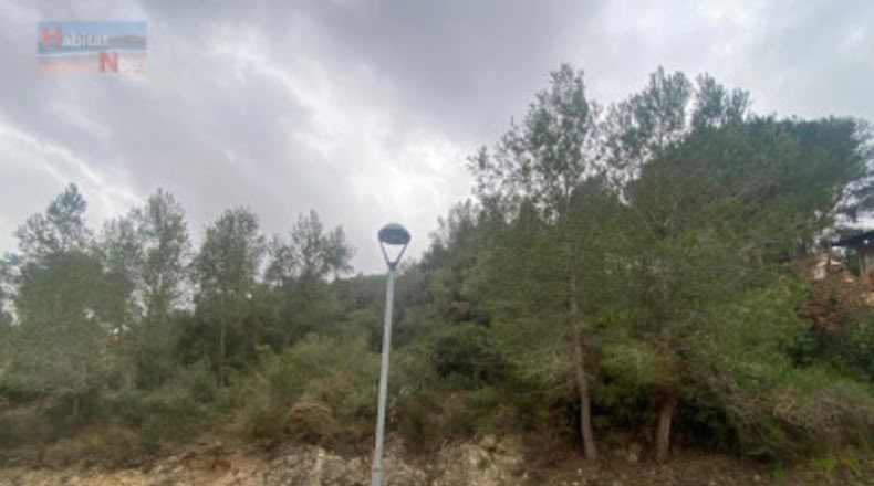Tarragona - la Bisbal del Penedès - 596m2