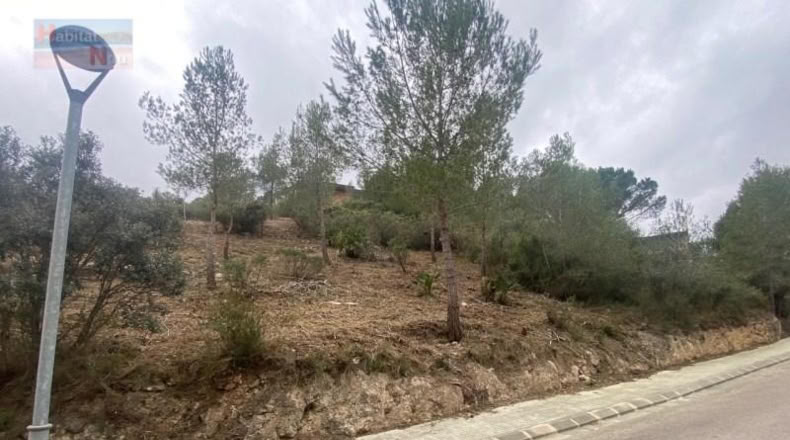 Tarragona - la Bisbal del Penedès - 596m2