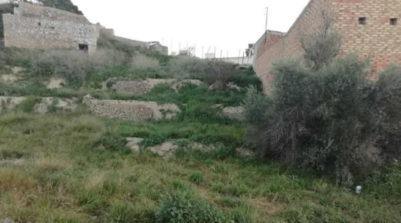 Múrcia - Abarán - 379m2