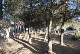 Almansa 14000&nbsp;m² 