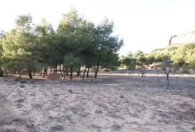Almansa 14000&nbsp;m² 
