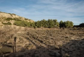 Almansa 14000&nbsp;m² 