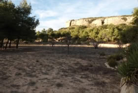 Almansa 14000&nbsp;m² 