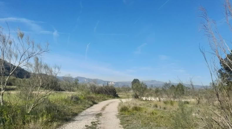 Tarragona - Batea - 14380m2