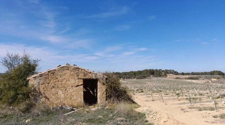 Tarragona - Batea - 14380m2