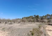 Terreno no urbanizable en venta en la España, Batea, ref: TR129869 foto
