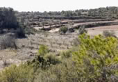 Terreno no urbanizable en venta en la España, Batea, ref: TR129869 foto