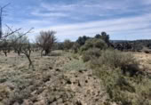 Terreno no urbanizable en venta en la España, Batea, ref: TR129869 foto